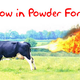 Illustration for article titled Scientists Bring Us Closer to Methane-Driven Economy With Powdered Gas